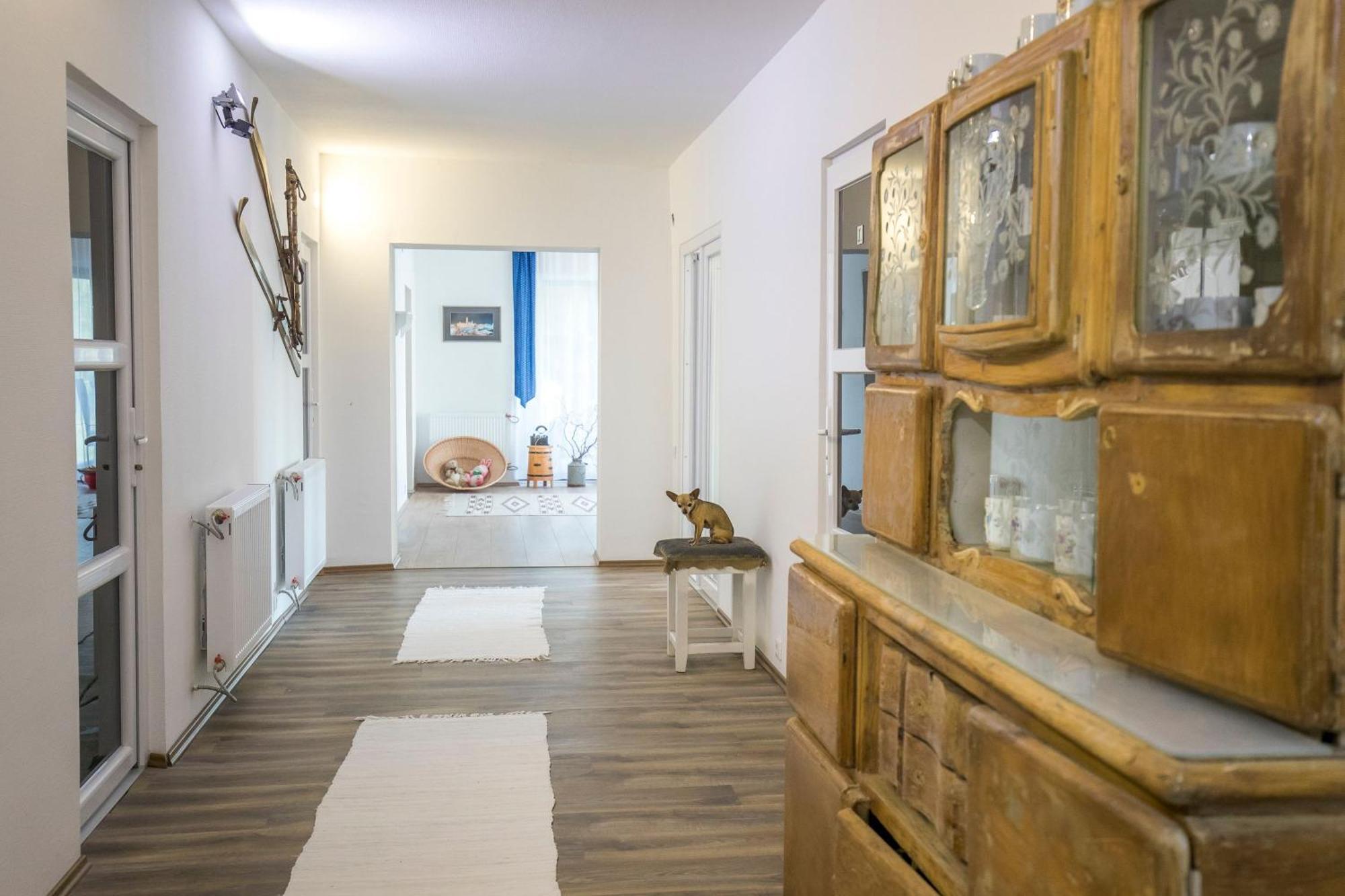 Villa Vamus Vendeg- Es Rendezvenyhaz Vamosszabadi Ngoại thất bức ảnh